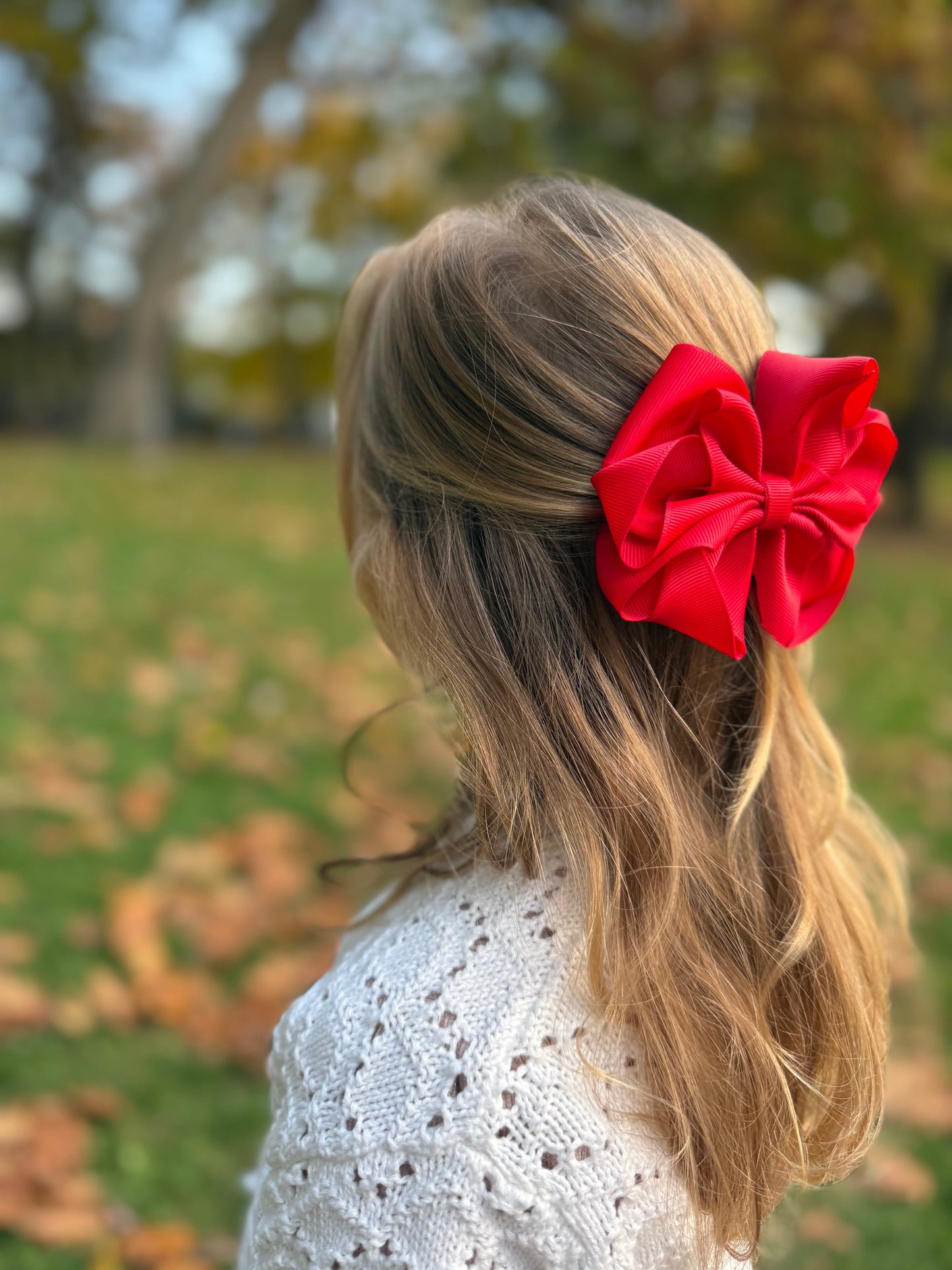 Double Layer Boutique Bow